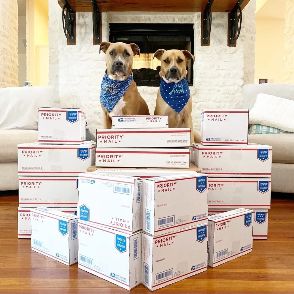 FOLLOW MY CUTE PAWSH ASSISTANTS! 🐶🐶🛍👑🐝 - Picture 12 of 16